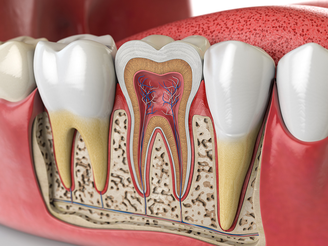 root canal treatment in Franklin, MA